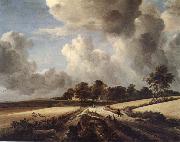 RUISDAEL, Jacob Isaackszon van Wheatfields oil on canvas